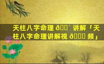 天柱八字命理 🐴 讲解「天柱八字命理讲解视 🐛 频」